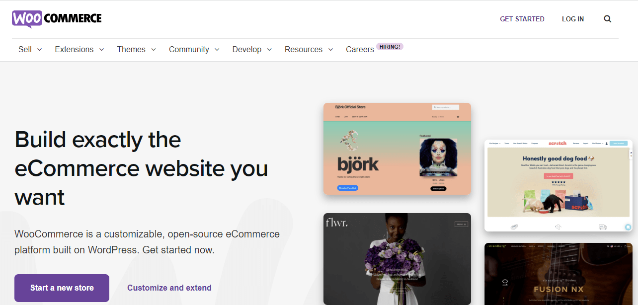 WooCommerce für Dropshipping