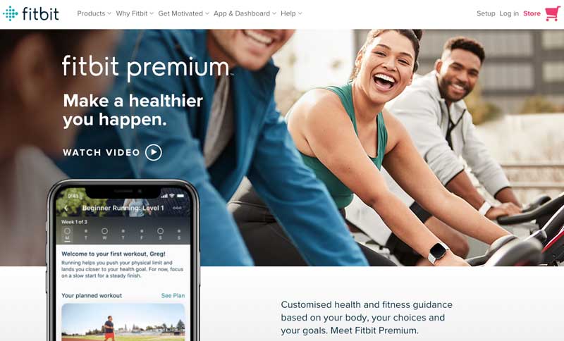 fitbit abonelik iş modeli