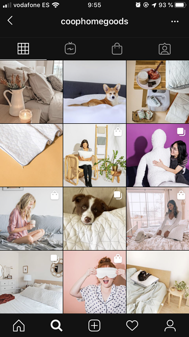 coop home goods 인스타그램 비즈니스 프로필 예시