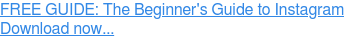 Aumente o nível do seu jogo do Instagram com The Beginner's Guide to Instagram Obtenha meu guia →
