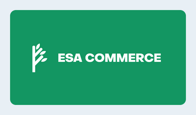 Agence SEO Ecom