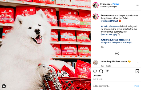 stella und chewy ig Partnerschaftsanzeige