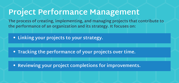 Projektleistungsmanagement