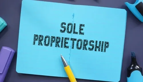 Propietario único