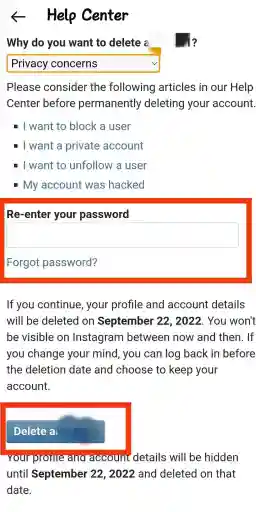 Повторно введите пароль своей учетной записи Instagram и нажмите кнопку «Удалить», чтобы навсегда удалить учетную запись Instagram.