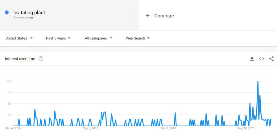 공중부양-plant-google-trends-2