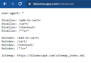 Bir Robots.txt dosyasının ekran görüntüsü