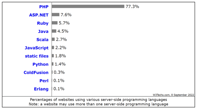 Websites, die serverseitige Programmiersprachen verwenden