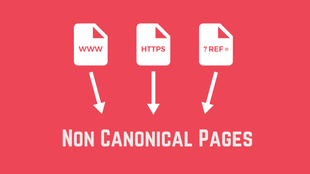 Non Canonical Pages