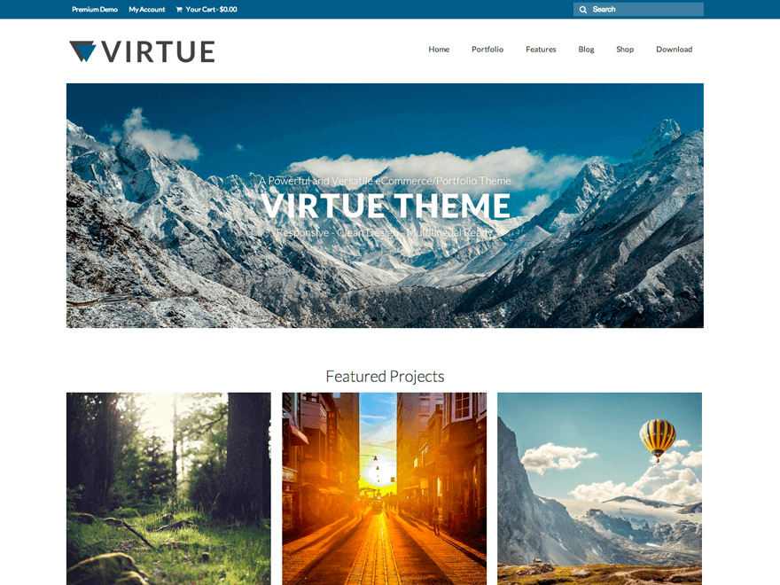Virtue