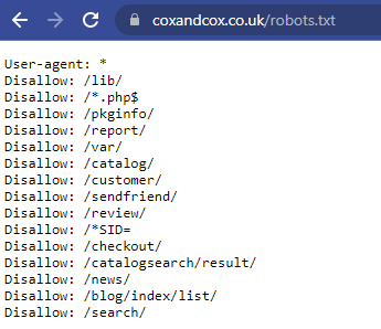 Screenshot di un file txt di Robots