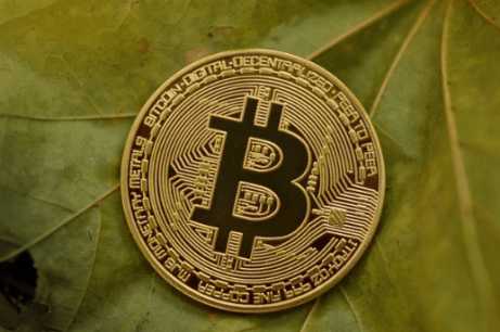 Bitcoin Cash