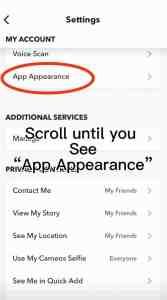 Klik opsi Tampilan Aplikasi untuk mendapatkan mode gelap di Snapchat