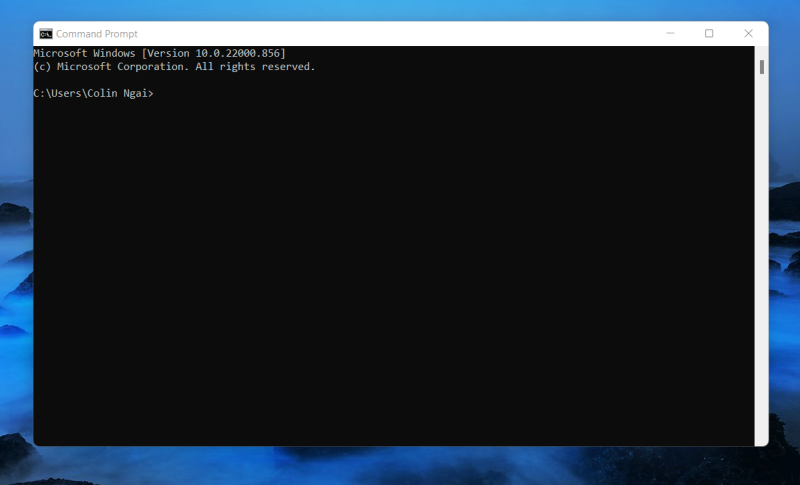 Windowsコマンドプロンプトを開いてnodejsを使用する