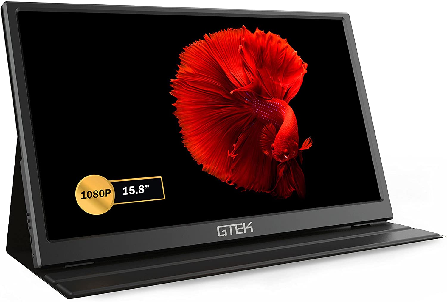 Tragbarer GTEK-Monitor