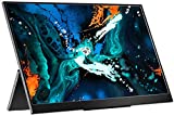 Reisemonitor – verbessertes 15,6-Zoll-1080P-FHD-HDR-IPS-FreeSync-Ultra-Slim-USB-C-tragbares Display mit Kickstand Dual-Typ-C-Mini-HDMI-Dual-Lautsprecher für Laptop-PC-Mac-Oberfläche Xbox-PS4-Switch-Telefon