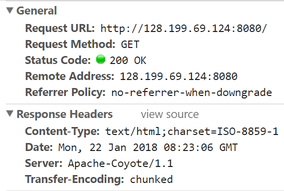 Tomcat-server-header