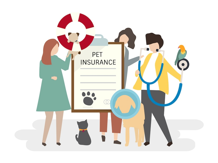Servicios de seguros para mascotas
