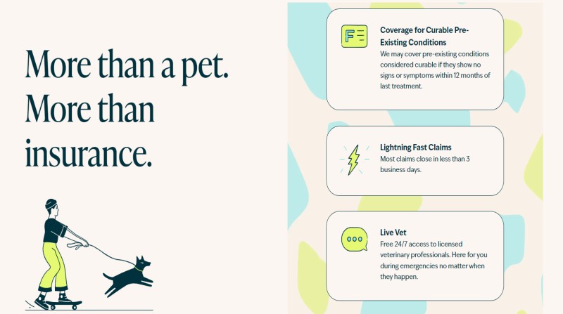 Figo-Pet-Seguros
