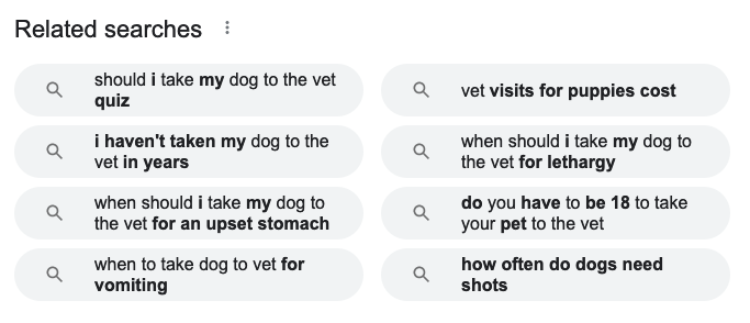 captura de tela de pesquisas relacionadas ao google serps