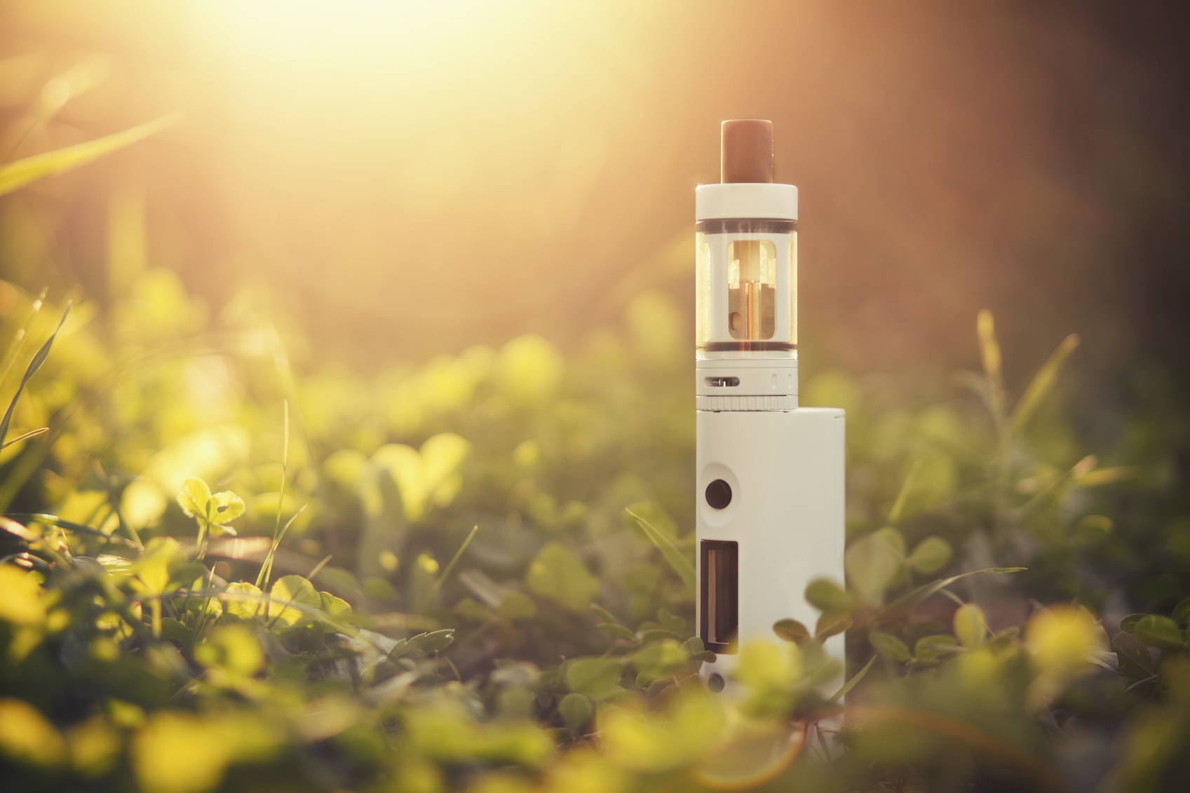 vape seo 公司