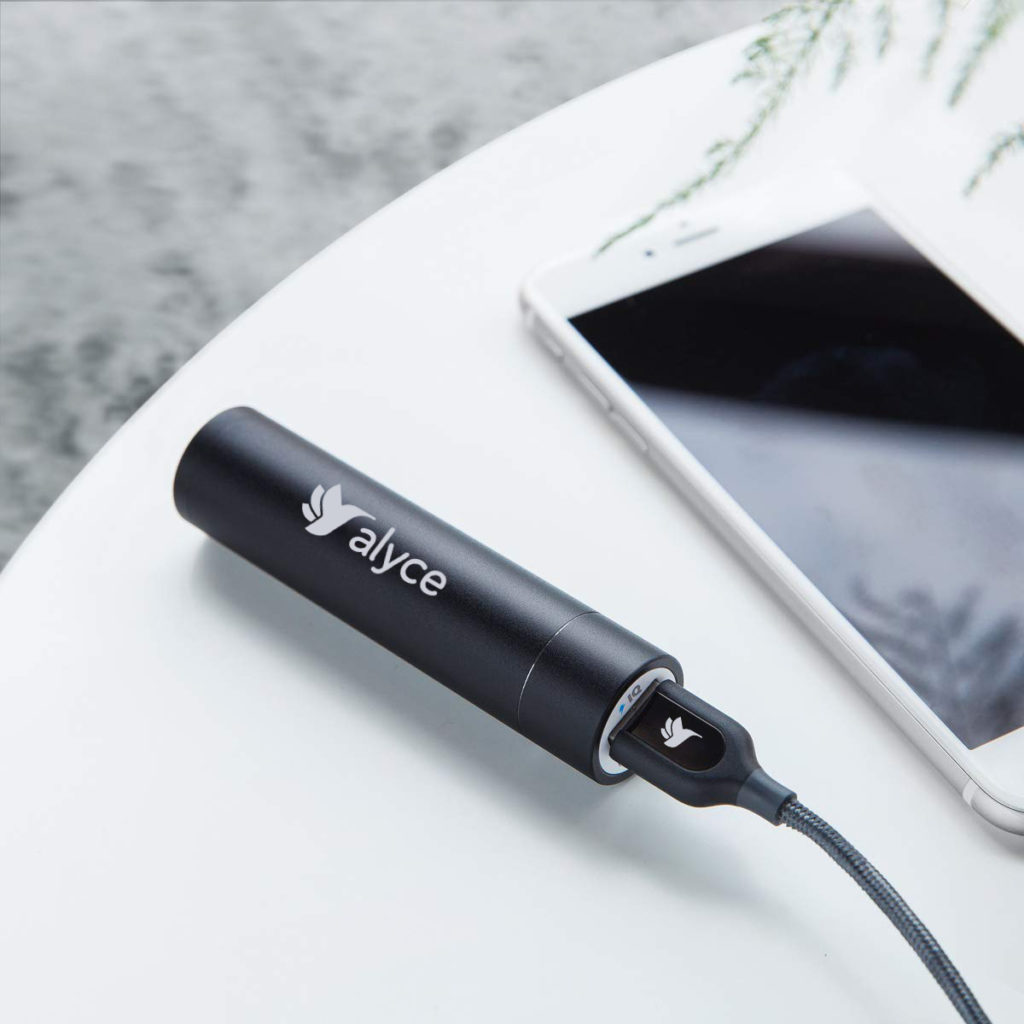 Фирменное зарядное устройство Power Bank (Anker)
