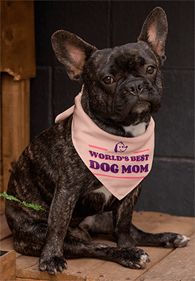 Maquete de bandana de um buldogue francês sentado