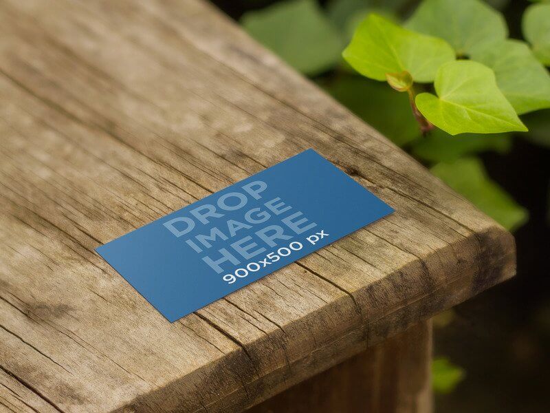 BUSINESS CARD MOCKUP IN NATURE ON A WOODEN TABLE