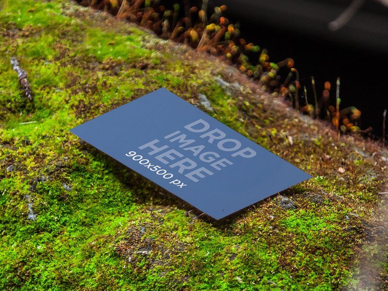 PRINT DESIGN MOCKUP, BUSINESS CARD LAYING ON A BED OF MOSS