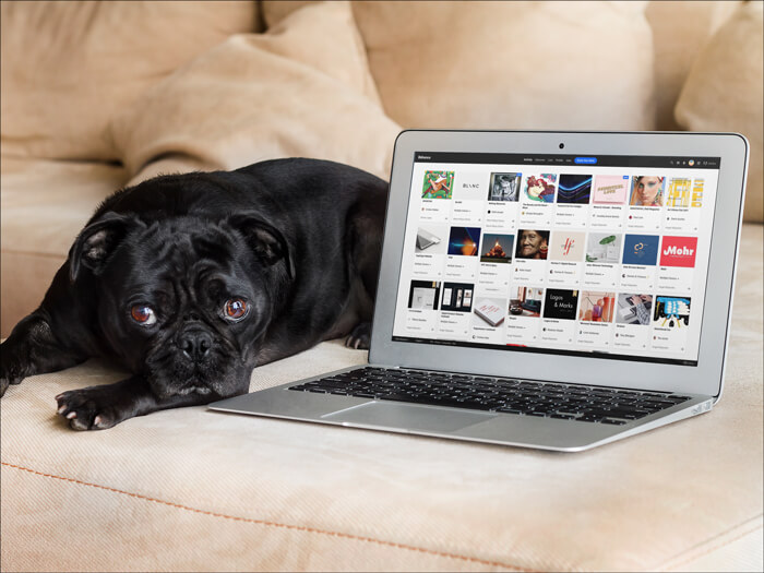 Köpekli Macbook Air Mockup