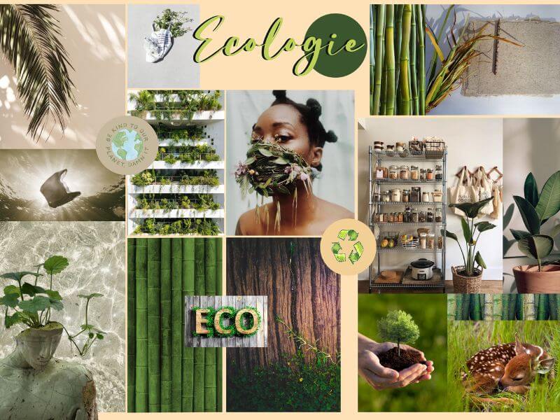 Behance の Angelique Taddei による Moodboard Ecology