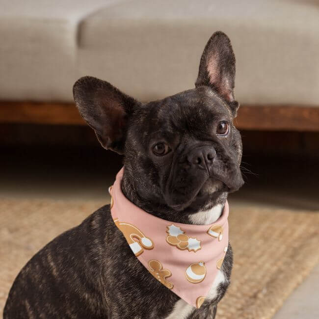 Bandana pentru animale de companie