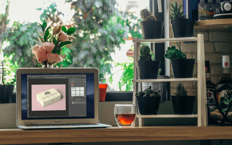 Machetă a unui Macbook Air lângă unele ghivece