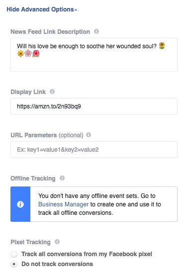 Facebook 廣告指南：高級選項