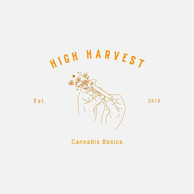 يتميز صانع شعار متجر Cannabis Store برسم مخطط تفصيلي بسيط