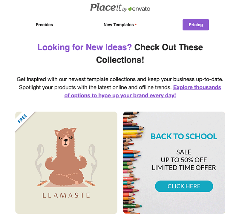 อีเมลแคมเปญ Placeit