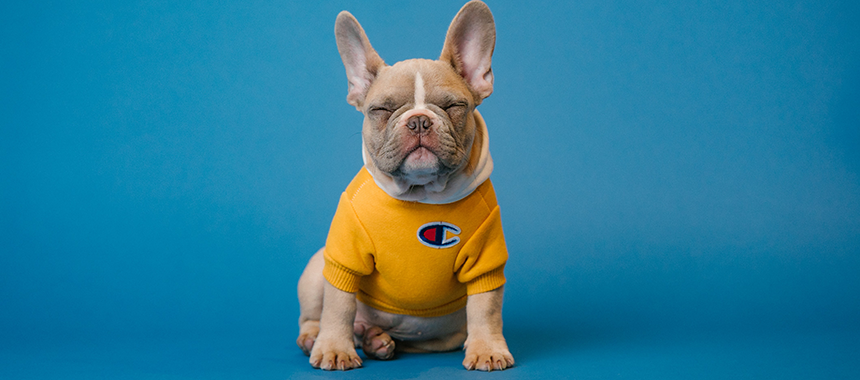 宠物用品 Pet Products