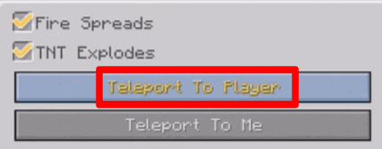 Minecraft'ta Işınlamak için oyuncuya ışınlanma seçeneğine tıklayın