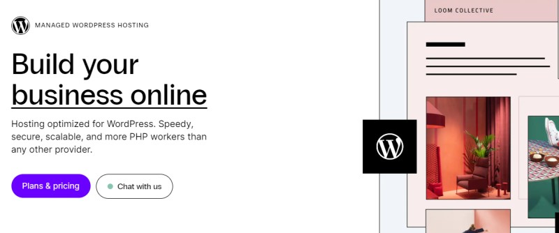 wordpress selanjutnya