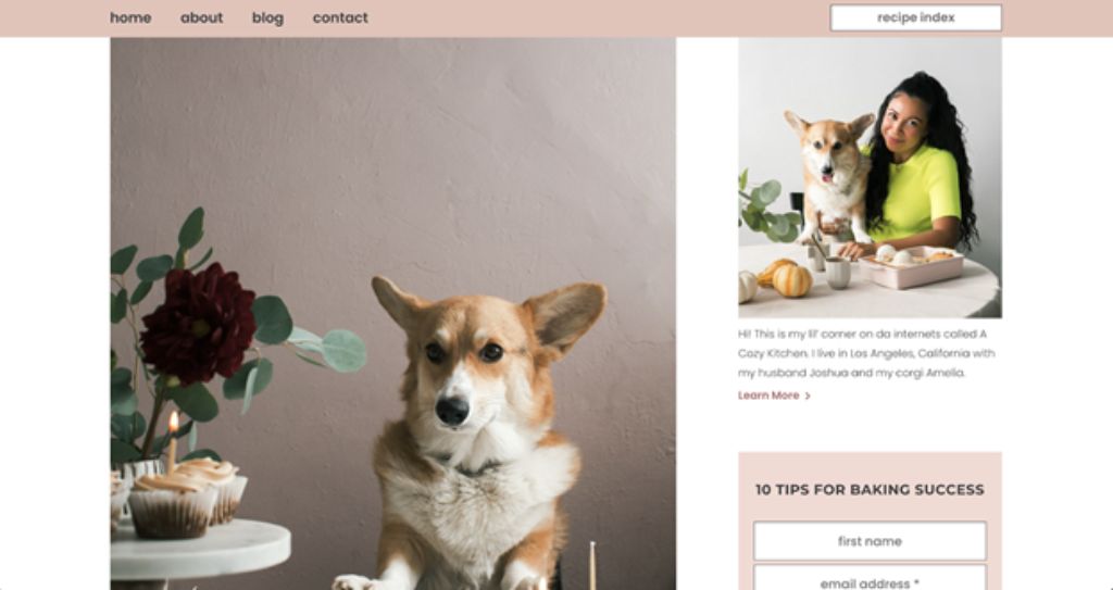关于阿米莉亚柯基犬的舒适厨房截图
