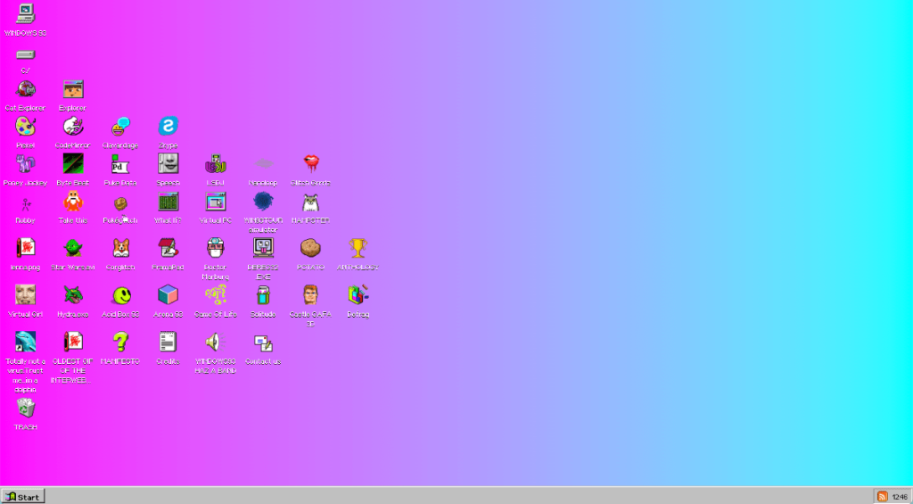 لقطة شاشة غريبة لـ windows 93