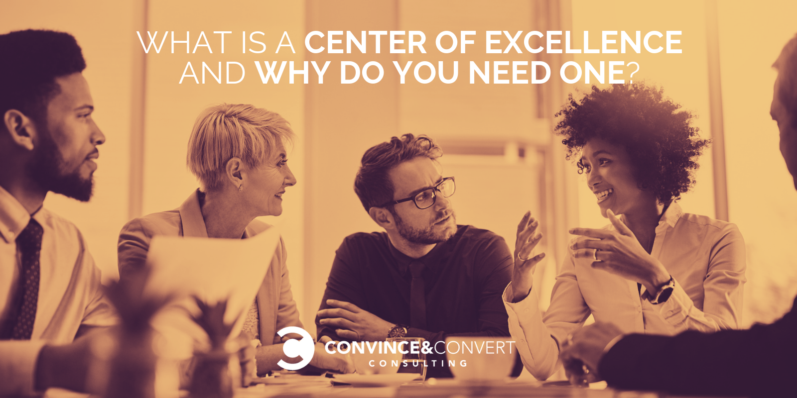 qu'est-ce qu'un centre d'excellence