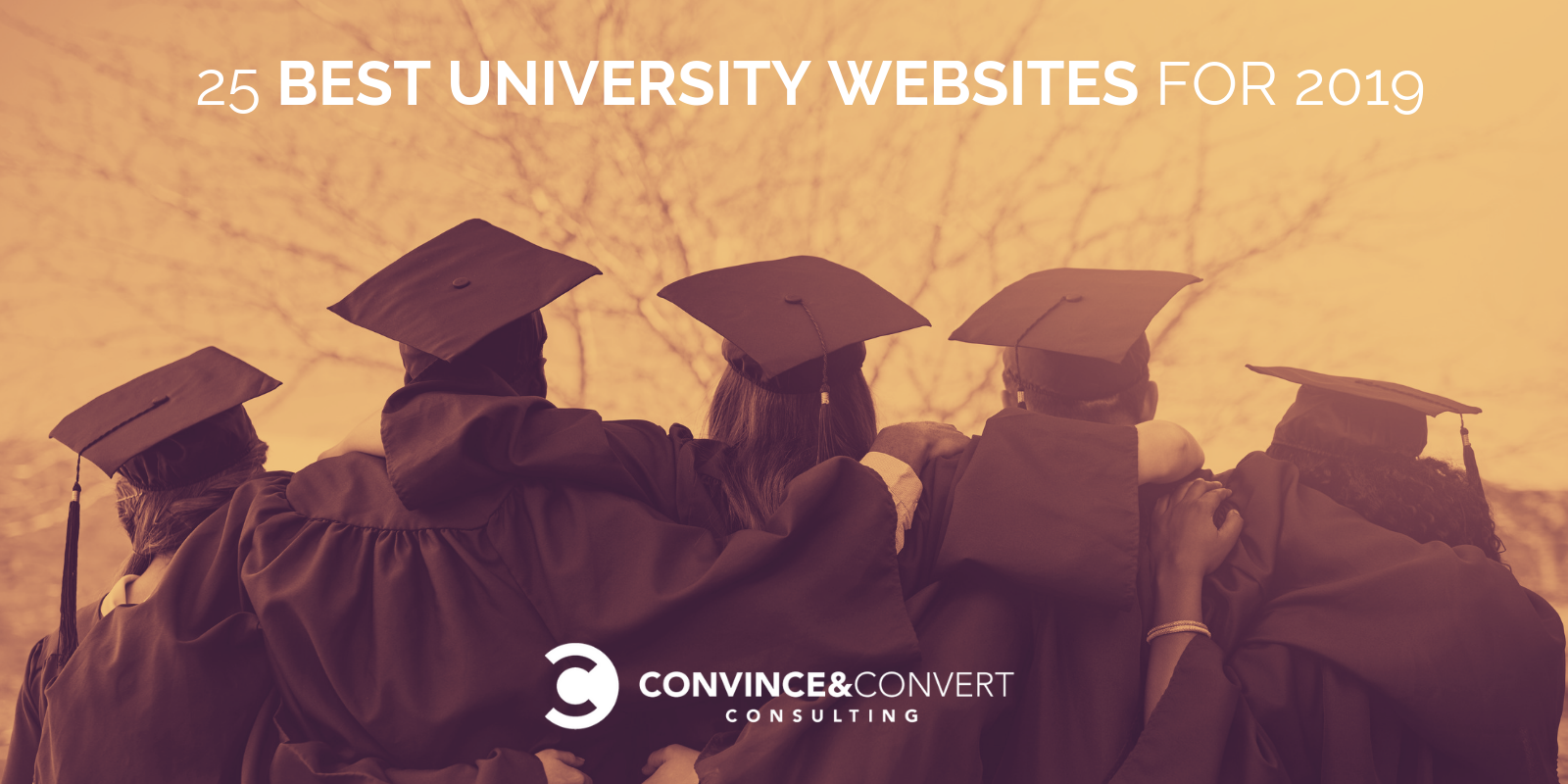 Cele mai bune site-uri web universitare