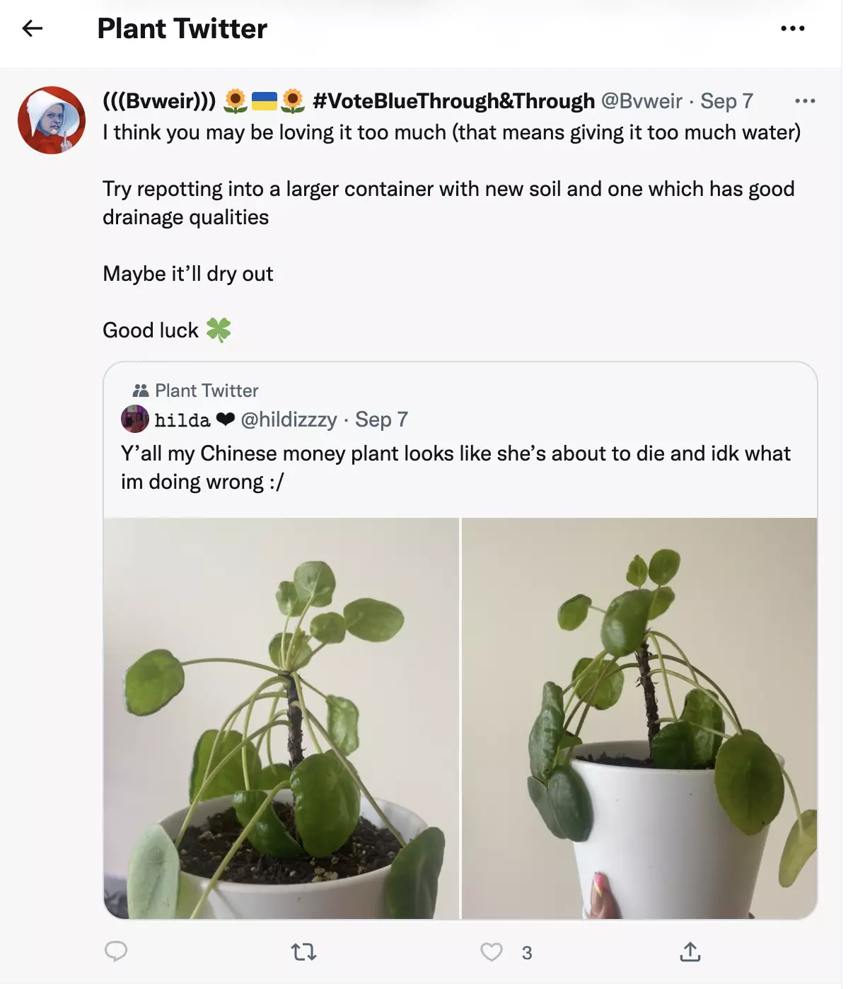 植物推特 plant twitter