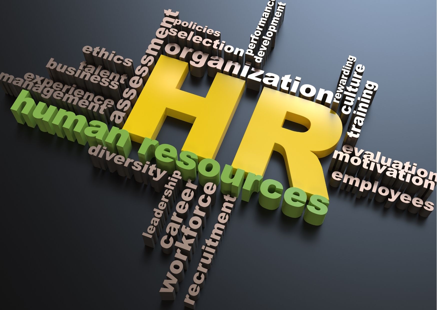 managementul resurselor