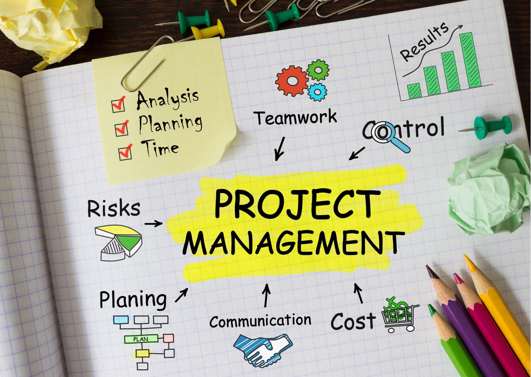 management de proiect