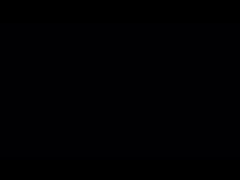 YouTube ビデオ