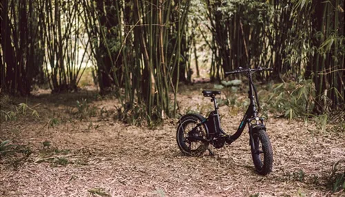 MAGiCYCLE Jaguarundi Folding E-bike