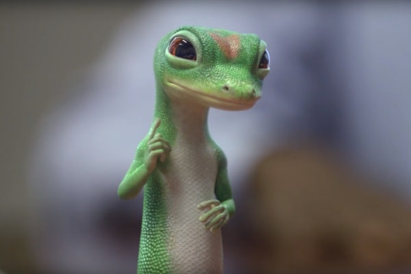 geico lagartixa