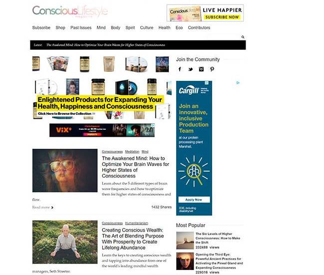 Estilo de vida consciente